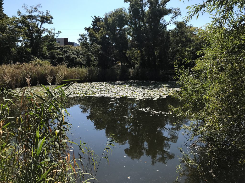 じゅんさい池公園