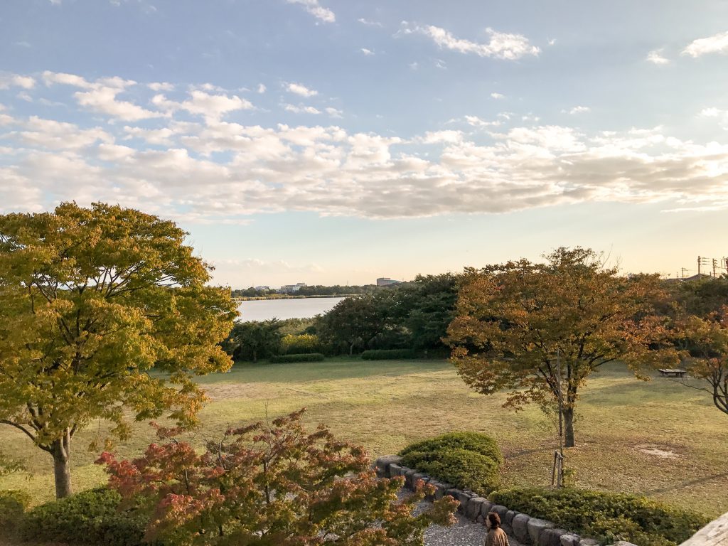 鳥屋野潟（女池地区から）